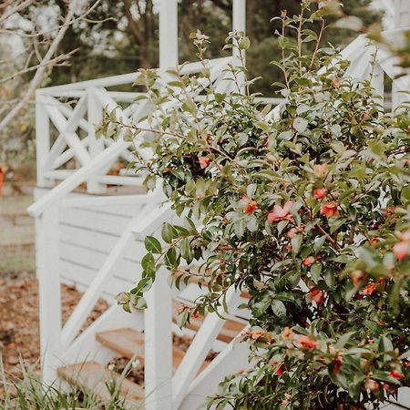 Birch Cottage Trentham Exterior photo