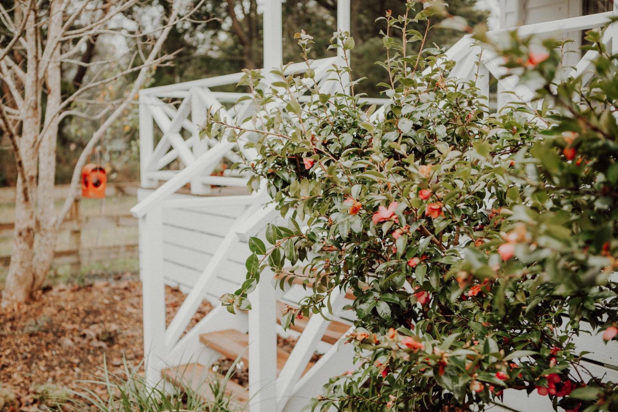 Birch Cottage Trentham Exterior photo